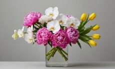 Elegant,Bouquet,In,A,Clear,Glass,Vase,Featuring,Pink,Peonies,