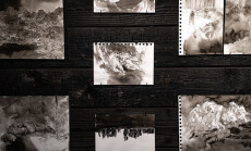 Karolinos Vilkelienės nuotr. (3)