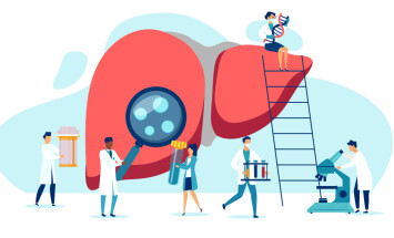 Vector,Of,A,Group,Of,Doctors,Examining,Patient,Liver,,Performing