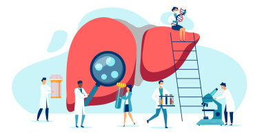 Vector,Of,A,Group,Of,Doctors,Examining,Patient,Liver,,Performing