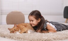 Smiling,Little,Girl,And,Cute,Ginger,Cat,On,Carpet,At