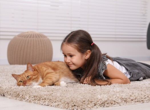 Smiling,Little,Girl,And,Cute,Ginger,Cat,On,Carpet,At