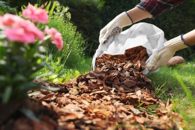 Woman,Mulching,Soil,With,Bark,Chips,In,Garden,,Closeup