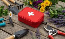 The,Surface,Of,A,Wooden,Table.,There,Is,A,Red