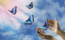 Open,Hands,Let,Go,Of,Beautiful,Blue,Butterflies,In,The