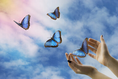 Open,Hands,Let,Go,Of,Beautiful,Blue,Butterflies,In,The