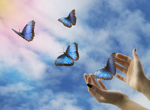 Open,Hands,Let,Go,Of,Beautiful,Blue,Butterflies,In,The