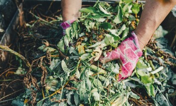 Gardener's,Hands,In,Gardening,Gloves,Are,Sorting,Through,Compost,Heap