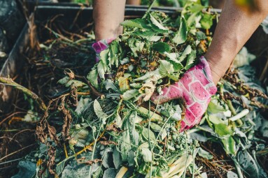 Gardener's,Hands,In,Gardening,Gloves,Are,Sorting,Through,Compost,Heap