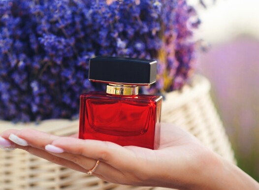 Parfume,Bottles,With,Lavender.,Flowers,Field,Background.,Provence,Lavender,Farm.