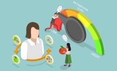 3d,Isometric,Flat,Vector,Illustration,Of,Human,Organism,Metabolism,Level,