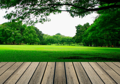 Wooden,Floor,And,Big,Tree,In,The,Park