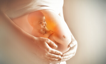 Pregnant,Woman's,Belly,Closeup,With,A,Baby,Inside,,Conceptual,Motherhood