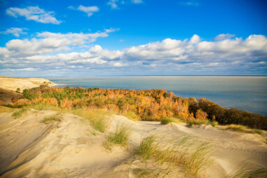 Autumn,In,The,Dunes,Of,Curonian,Spit,In,Nida,,Neringa,