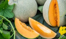 Honeydew,Melon,And,Japanese,Melon,Slice,Fresh,Ripe,Orange,And