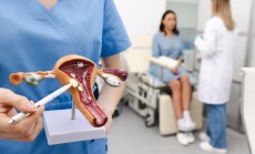 Gynecologist,Pointing,Uterine,Leiomyomas,On,Anatomical,Model,Of,Uterus,While