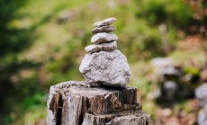 Piled,Stones,On,A,Tree,Stump,In,A,Forest.