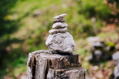 Piled,Stones,On,A,Tree,Stump,In,A,Forest.