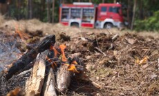 Forest,Fire,,Fire,Danger.,Fire,Left,Unchecked,By,Tourists.,Fire