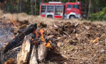 Forest,Fire,,Fire,Danger.,Fire,Left,Unchecked,By,Tourists.,Fire