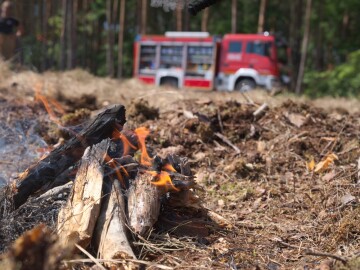 Forest,Fire,,Fire,Danger.,Fire,Left,Unchecked,By,Tourists.,Fire