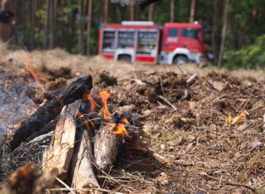 Forest,Fire,,Fire,Danger.,Fire,Left,Unchecked,By,Tourists.,Fire