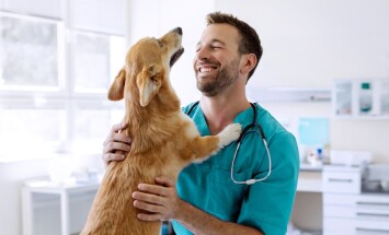 Cheerful,Man,Veterinarian,Doctor,Cuddling,And,Playing,With,Cute,Pembroke