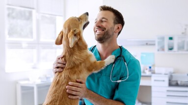 Cheerful,Man,Veterinarian,Doctor,Cuddling,And,Playing,With,Cute,Pembroke