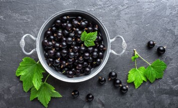 shutterstock_657913708