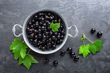 shutterstock_657913708