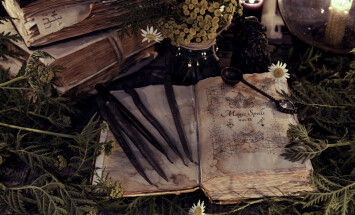 Antique,Magic,Book,With,Grunge,Shabby,Pages,,Herbs,And,Black