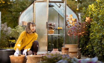 Woman,Planting,Flower,Bulbs,In,Clay,Jugs,For,Growing,In