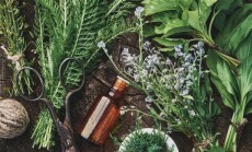 Medicinal,Infusion,Bottle,,Mortar,And,Bunches,Of,Fresh,Medicinal,Herbs