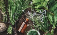 Medicinal,Infusion,Bottle,,Mortar,And,Bunches,Of,Fresh,Medicinal,Herbs