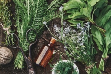 Medicinal,Infusion,Bottle,,Mortar,And,Bunches,Of,Fresh,Medicinal,Herbs