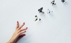 Art,,Mockup,And,Hand,Of,Woman,With,Butterfly,In,Studio
