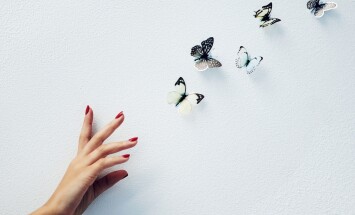 Art,,Mockup,And,Hand,Of,Woman,With,Butterfly,In,Studio