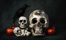 Skulls,With,Halloween,Pumpkins,And,A,Raven,On,A,Dark