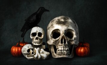 Skulls,With,Halloween,Pumpkins,And,A,Raven,On,A,Dark