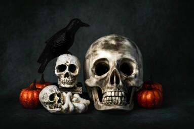 Skulls,With,Halloween,Pumpkins,And,A,Raven,On,A,Dark