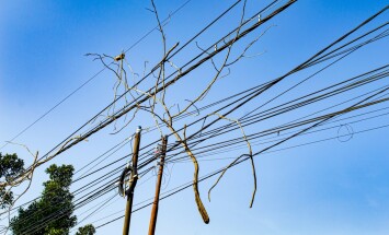 Broken,Branches,Caught,In,Power,And,Telecommunication,Lines.,Dangerous,Effects