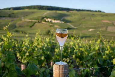 Sunset,With,Glass,Of,Rose,Or,Pink,Sparkling,Wine,Brut,