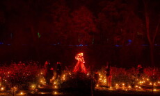 DSC05010