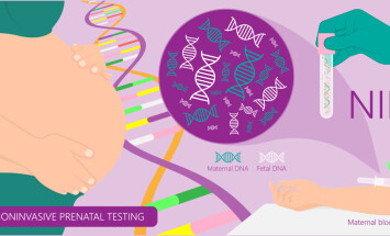 Noninvasive,Prenatal,Testing,Nipt,Screening,Genetic,Disorders,Bloodstream,Cfdna,Lab