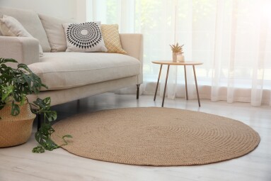 Living,Room,Interior,With,Comfortable,Sofa,And,Stylish,Round,Rug