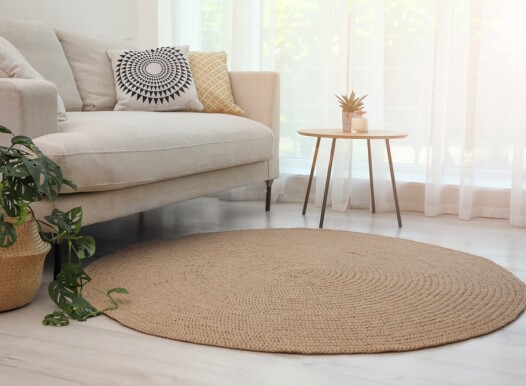 Living,Room,Interior,With,Comfortable,Sofa,And,Stylish,Round,Rug