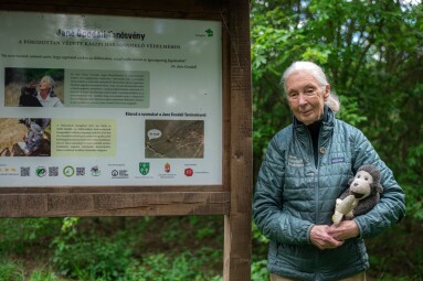 Budapest,,Hungary,-,May,09,2023:,Dr.,Jane,Goodall,With