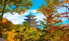 Korea,Temple,Style,With,Autumn,Forest,At,Gyeongbokgung,Palace,,A