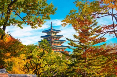 Korea,Temple,Style,With,Autumn,Forest,At,Gyeongbokgung,Palace,,A