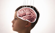 Image,Of,A,Hand,,That,Manipulates,The,Mind,Of,Manipulates
